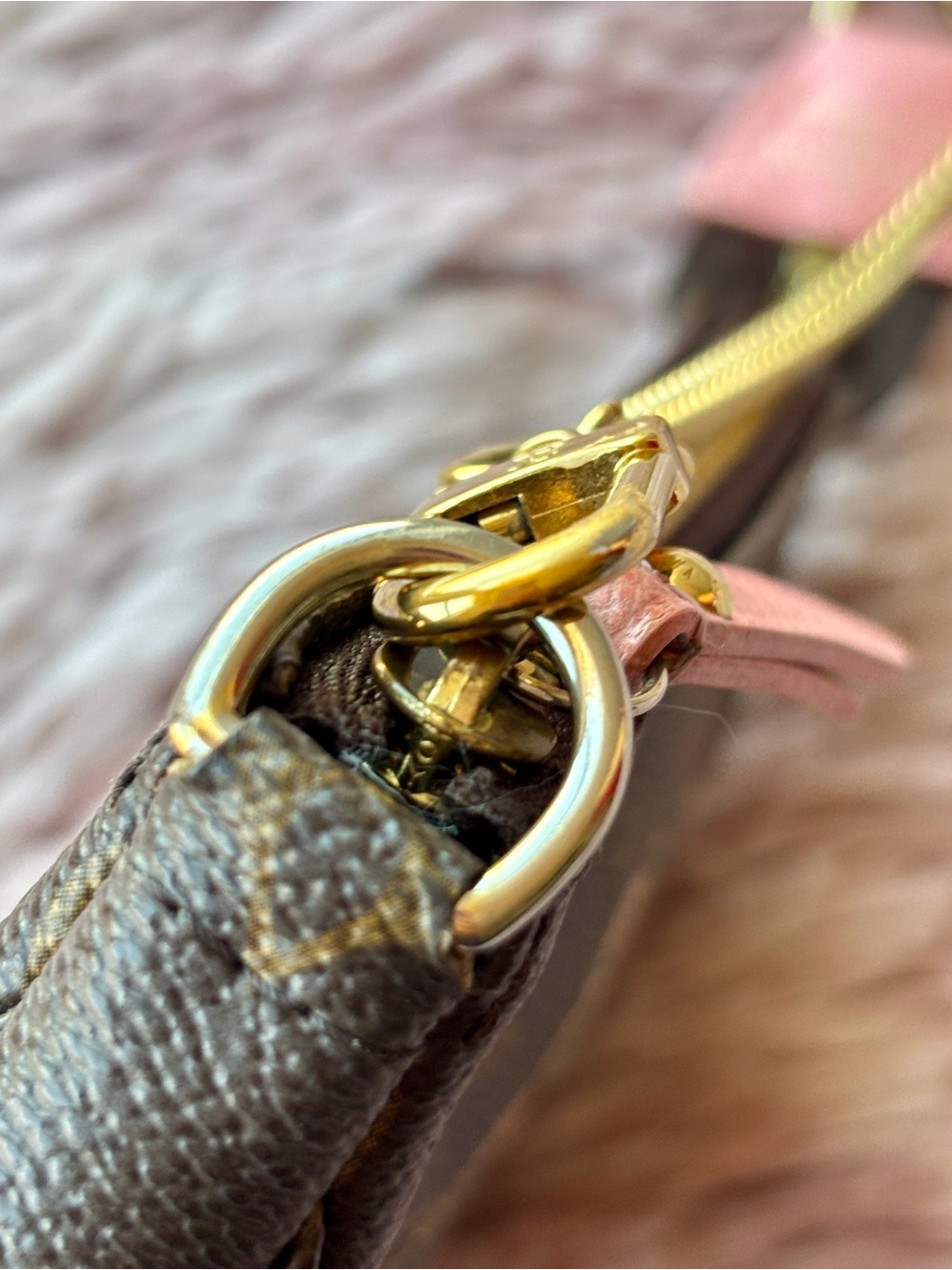 Louis Vuitton Animation Monogram Mini Pochette Accessoires - Picture 4 of 10